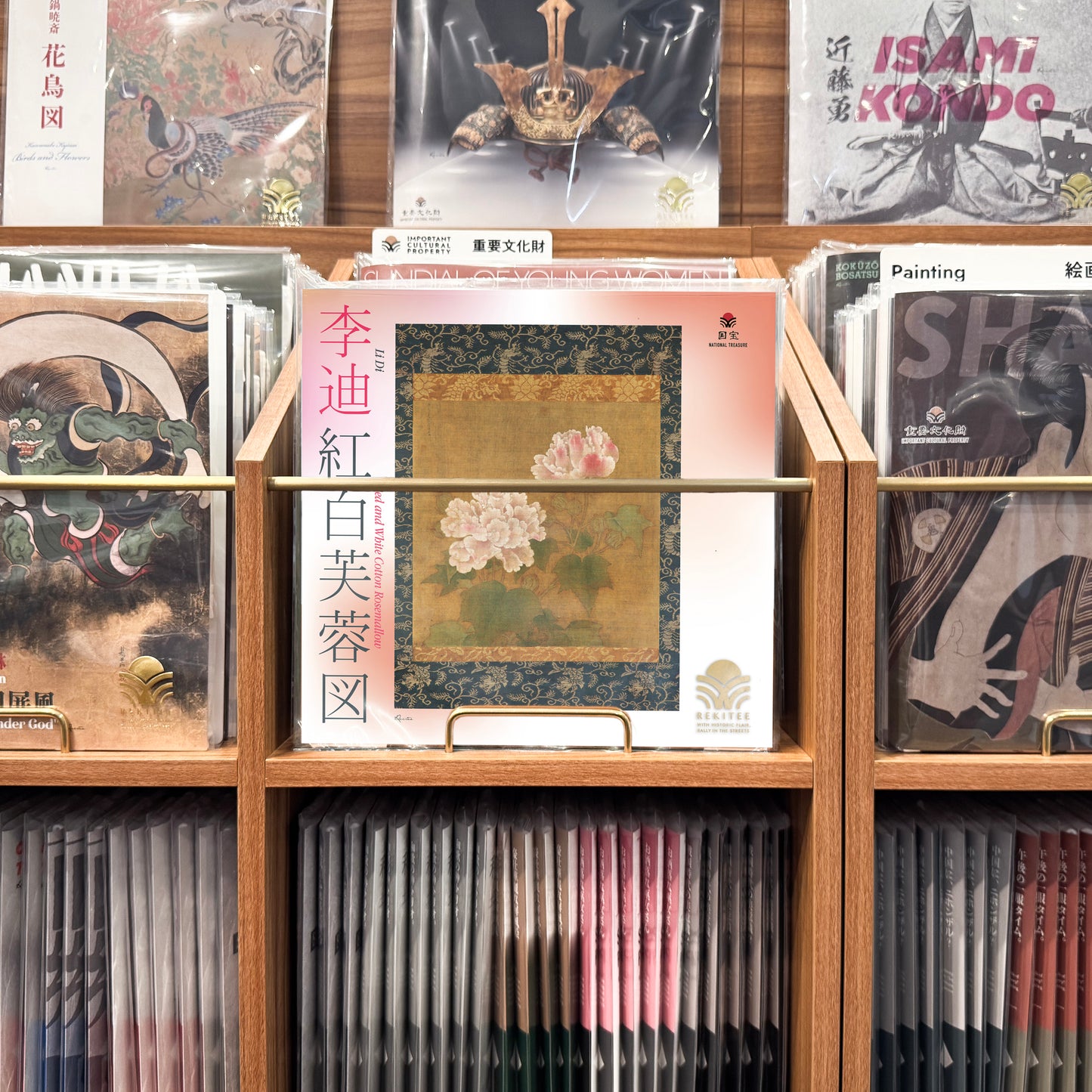 Red and White Cotton Rosemallow